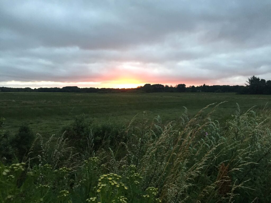 jeep, islandia, Jeep’em po Islandii – początek wyprawy