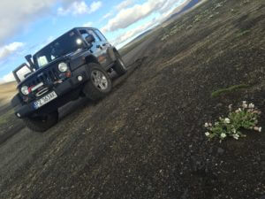 jeep, islandia, Jeep’em po Islandii – początek wyprawy