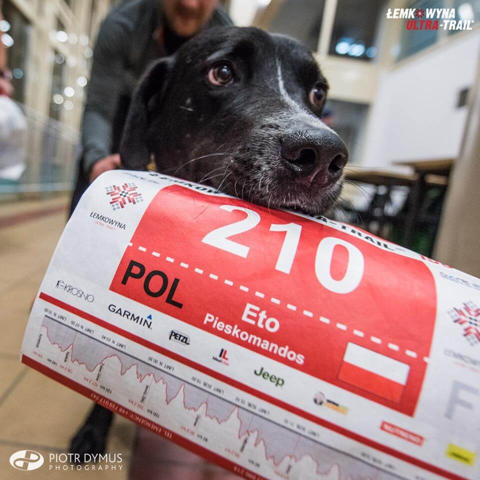 Jeep partnerem motoryzacyjnym Łemkowyna Ultra Trail , Jeep partnerem motoryzacyjnym Łemkowyna Ultra Trail