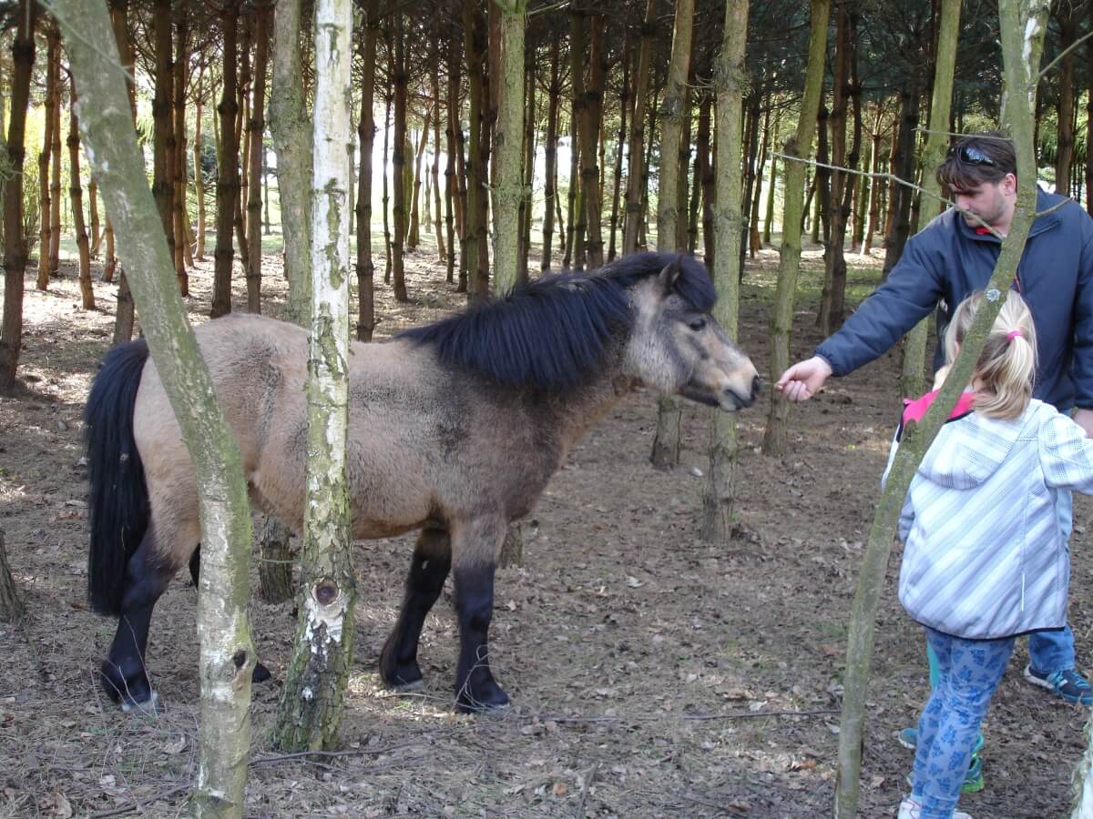 Wyprawa Jeep Wiosna 2015