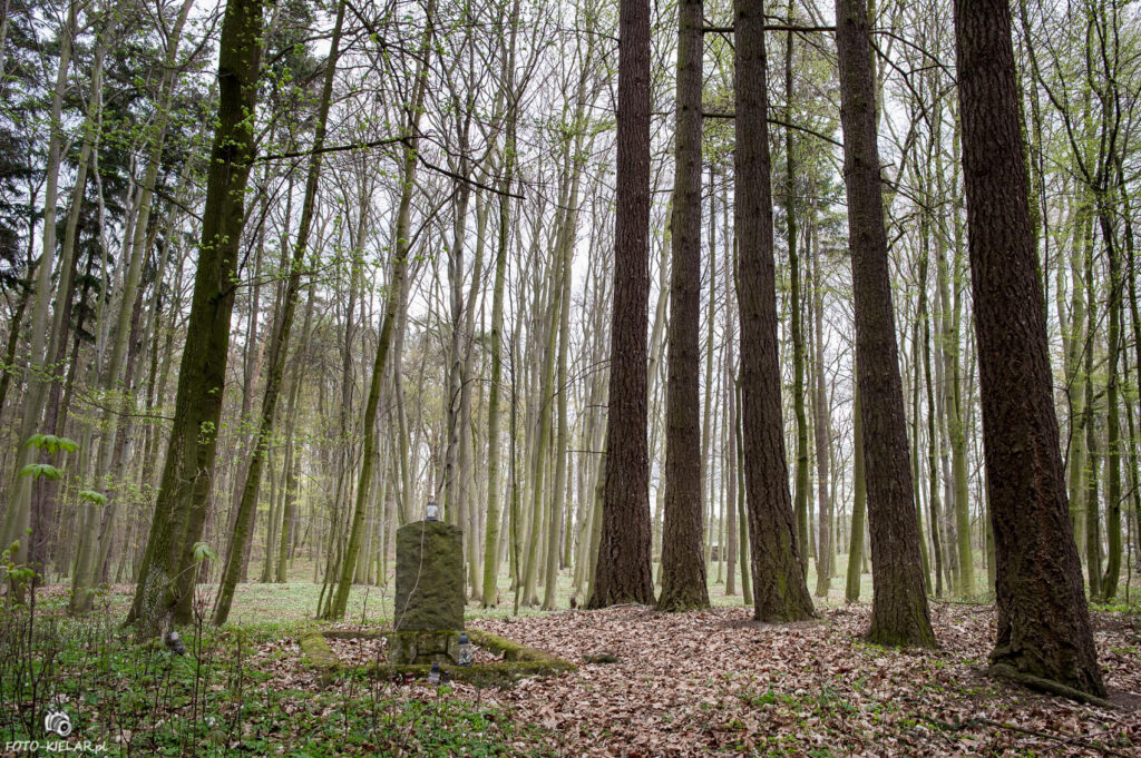 Wyprawa Jeep Wiosna 2015