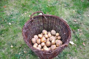 Jesienna Terenowa Wyprawa Jeepa