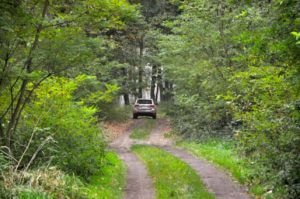 Jesienna Terenowa Wyprawa Jeepa