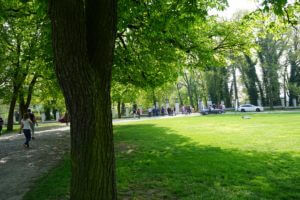 Rajd z Przymrużeniem oka 2018 mazda MX-5