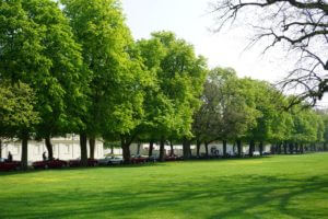 Rajd z Przymrużeniem oka 2018 mazda MX-5