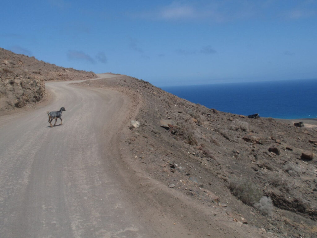 , Wyprawa Jeepem przez&nbsp;Furteventurę, hiszpańską Nevadę  &#8211; część 1 (południe)