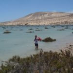Playa de Sotavento – laguna