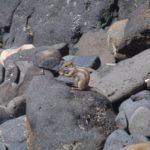 , Wyprawa Jeepem przez&nbsp;Furteventurę, hiszpańską Nevadę  &#8211; część 1 (południe)