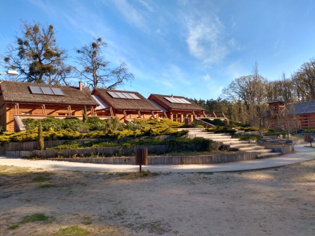 Na szlaku z Voyager Group - Puszcza Zielonka