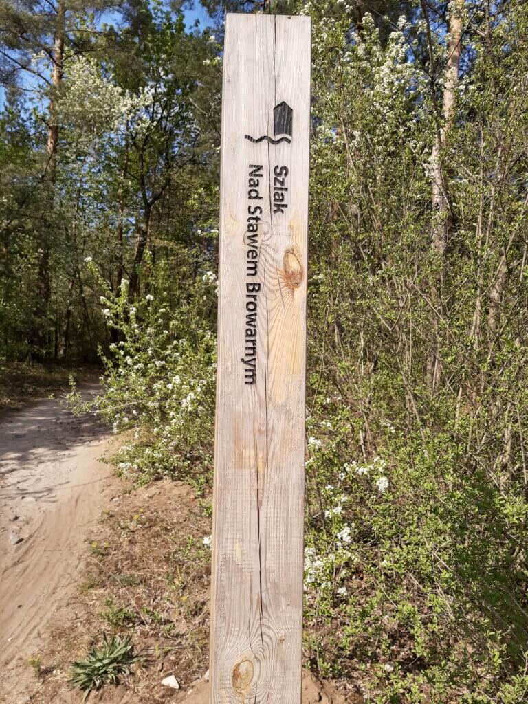 Na szlaku z Voyager Group - Dolina Cybiny nad Stawami w Antoninku, Na&nbsp;szlaku z&nbsp;Voyager Group &#8211; Dolina Cybiny nad&nbsp;Stawami w&nbsp;Antoninku