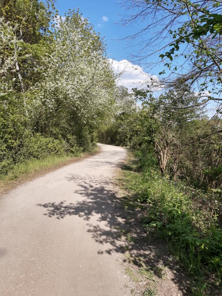 Na szlaku z Voyager Group - Dolina Cybiny nad Stawami w Antoninku, Na&nbsp;szlaku z&nbsp;Voyager Group &#8211; Dolina Cybiny nad&nbsp;Stawami w&nbsp;Antoninku