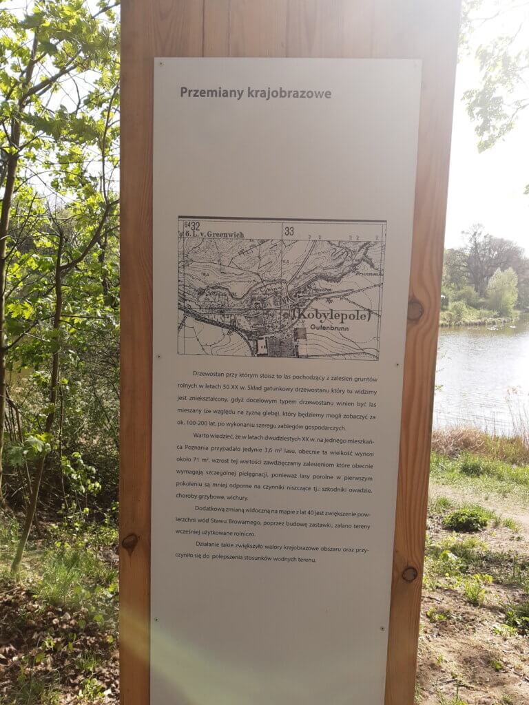 Na szlaku z Voyager Group - Dolina Cybiny nad Stawami w Antoninku, Na&nbsp;szlaku z&nbsp;Voyager Group &#8211; Dolina Cybiny nad&nbsp;Stawami w&nbsp;Antoninku