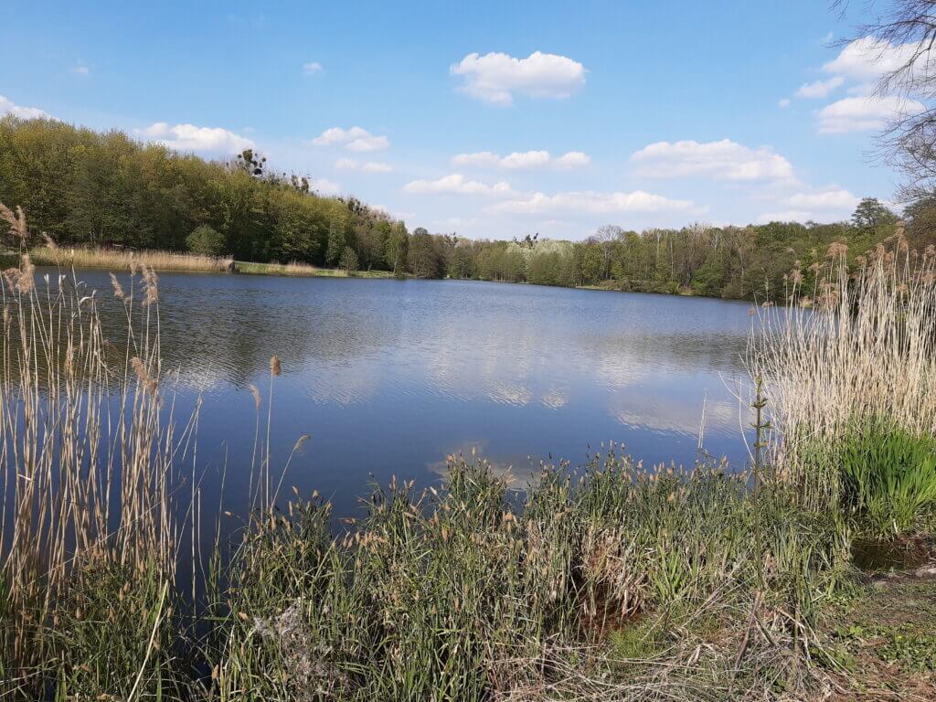 Na szlaku z Voyager Group - Dolina Cybiny nad Stawami w Antoninku, Na&nbsp;szlaku z&nbsp;Voyager Group &#8211; Dolina Cybiny nad&nbsp;Stawami w&nbsp;Antoninku