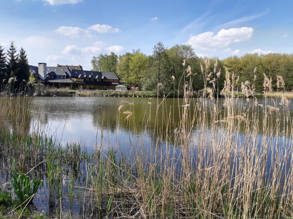 Na szlaku z Voyager Group - Dolina Cybiny nad Stawami w Antoninku, Na&nbsp;szlaku z&nbsp;Voyager Group &#8211; Dolina Cybiny nad&nbsp;Stawami w&nbsp;Antoninku