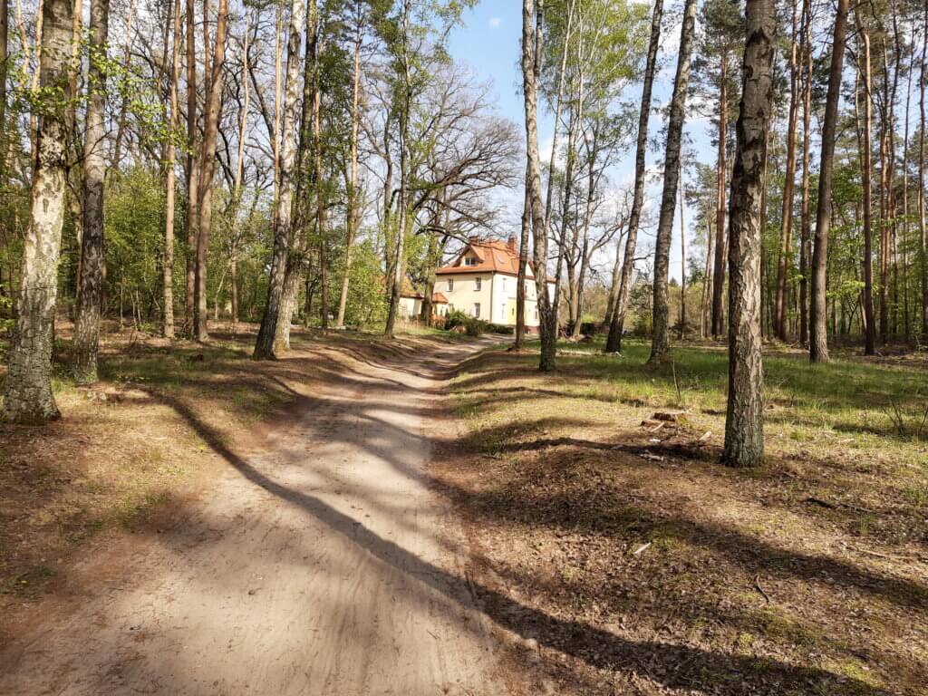 Na szlaku z Voyager Group - Dolina Cybiny nad Stawami w Antoninku, Na&nbsp;szlaku z&nbsp;Voyager Group &#8211; Dolina Cybiny nad&nbsp;Stawami w&nbsp;Antoninku