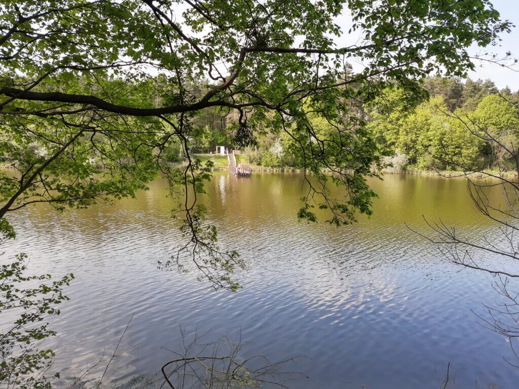 Na szlaku z Voyager Group - Dolina Cybiny nad Stawami w Antoninku, Na&nbsp;szlaku z&nbsp;Voyager Group &#8211; Dolina Cybiny nad&nbsp;Stawami w&nbsp;Antoninku