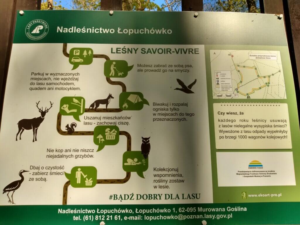 Leśna klasa w Puszczy Zielonce