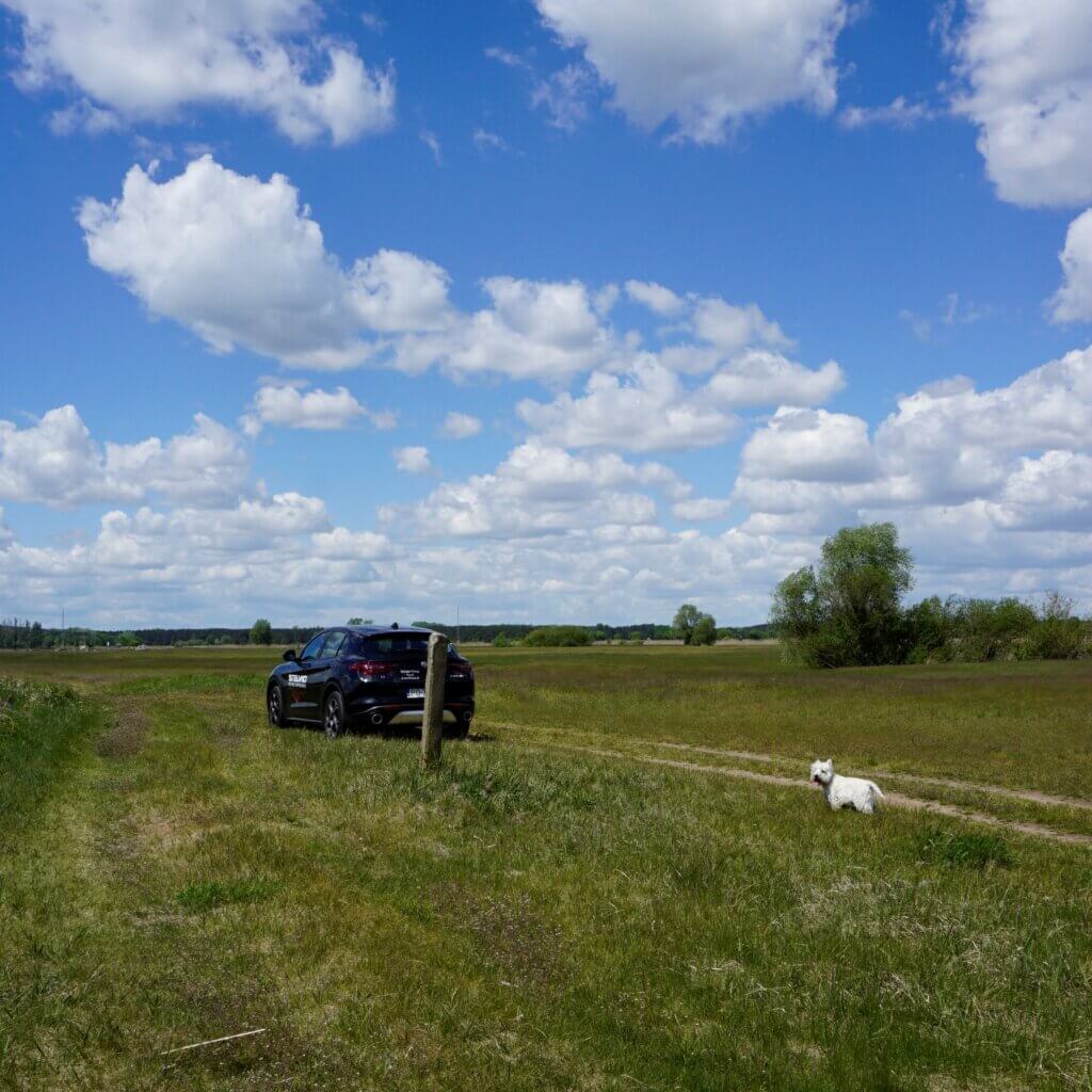 Na szlaku z Voyager Group - Łęgi Rogalińskie, Na szlaku z Voyager Group – Łęgi Rogalińskie