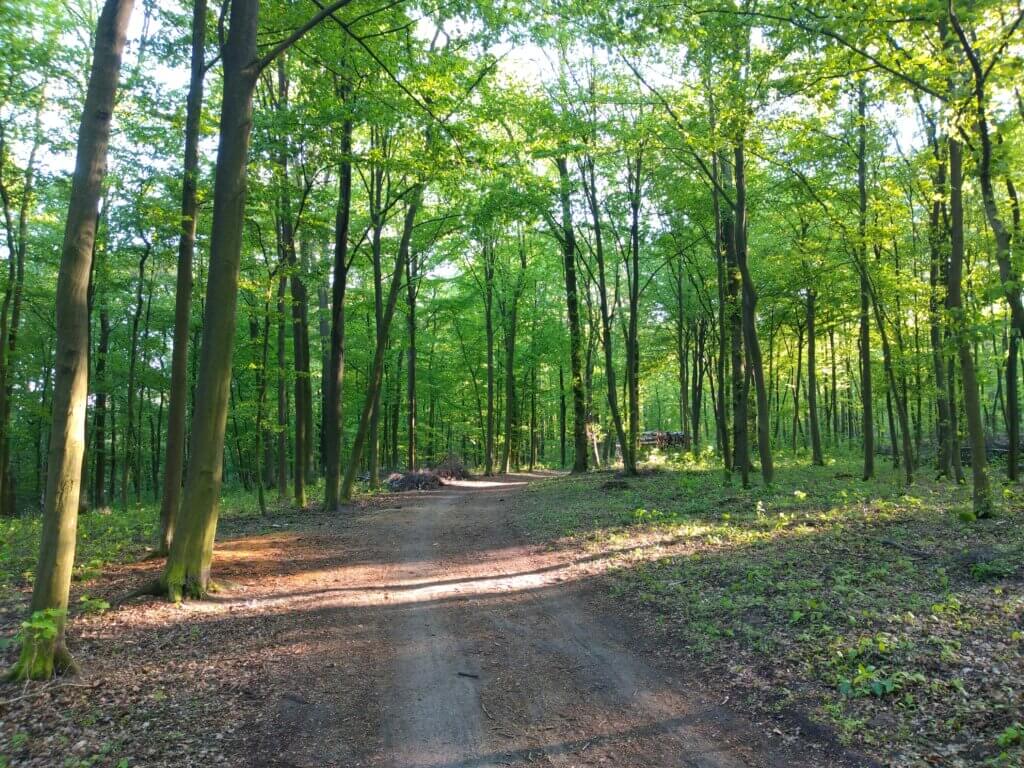 Swarzędz i Dolina Cybiny