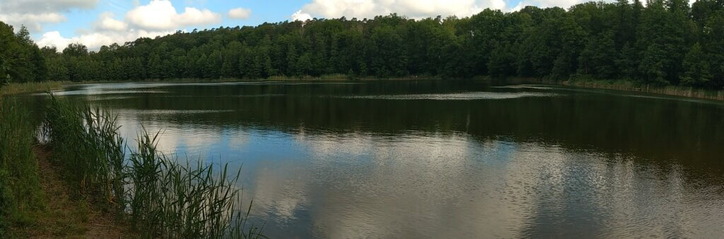 Na szlaku z Voyager Group Park Krajobrazowy Promno