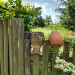 Na szlaku z Voyager Group