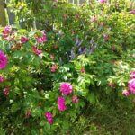 Promno, Na&nbsp;szlaku z&nbsp;Voyager Group &#8211; Park Krajobrazowy Promno