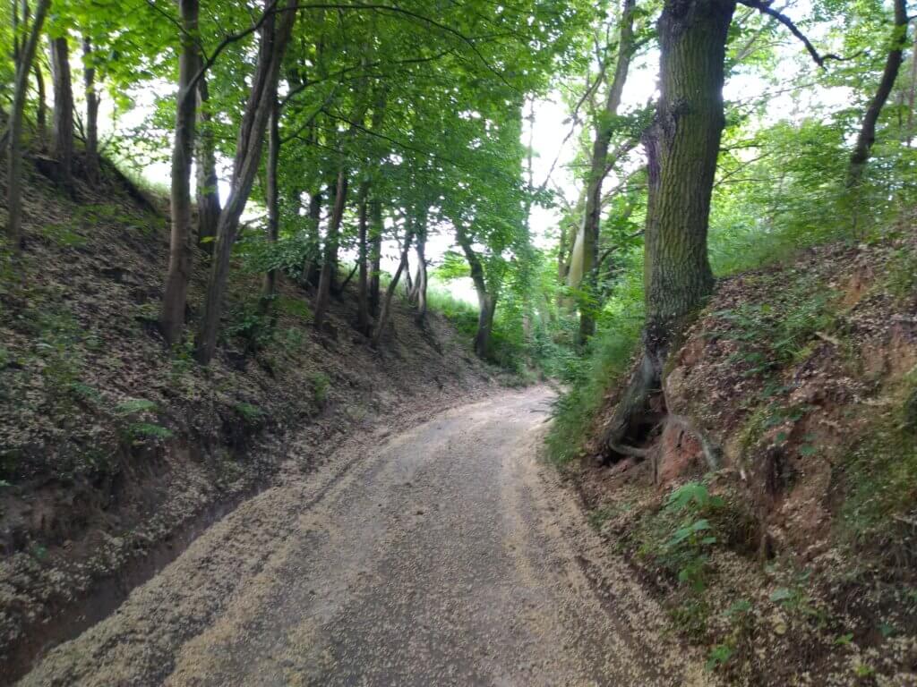 Na szlaku z Voyager Group