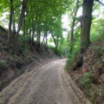 Na szlaku z Voyager Group