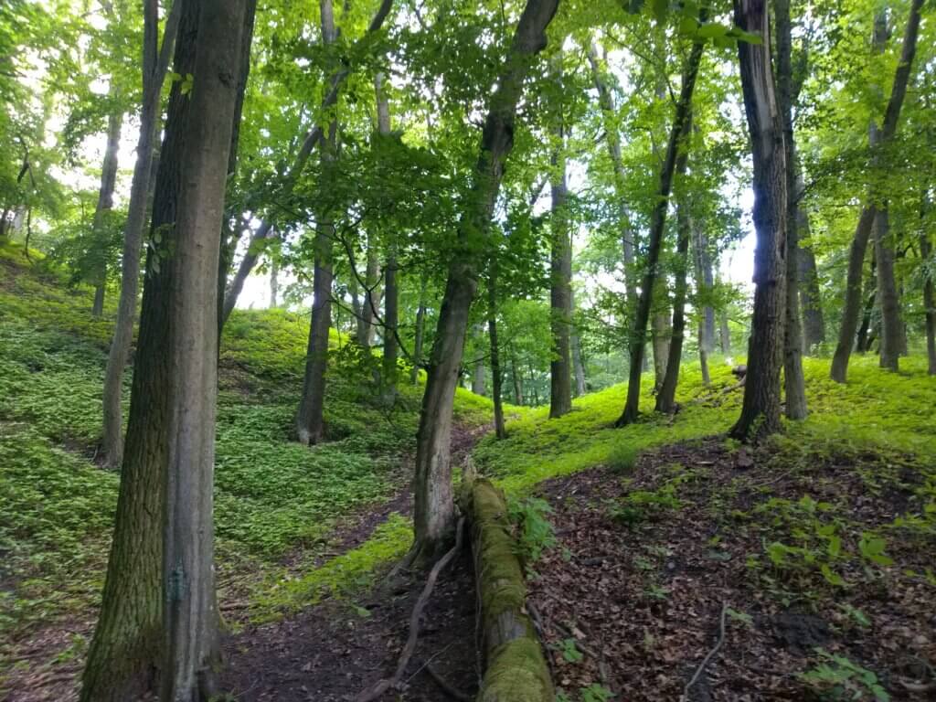 Na szlaku z Voyager Group - w Parku Krajobrazowym Promno