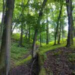 Na szlaku z Voyager Group - w Parku Krajobrazowym Promno